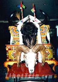 Blood sacrifice, Tibetan religious ceremony