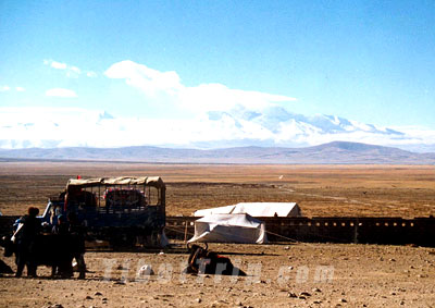 Mt. Kailash in Ngari is considered as the sacred mountain of Buddhism, Bon and Hinduism.