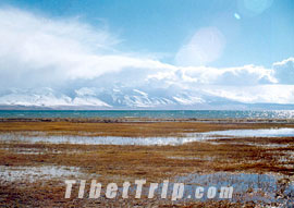 Lake Manasarovar, Ngari travel, Tibet