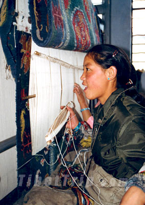 "Shigatse rug factory"