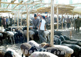 Thriving Bazaar in Kashgar, Silk Road