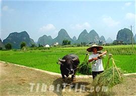 Yangshuo, Guilin