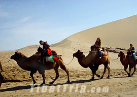 Camel Ride in Dunhuang, Silk Road