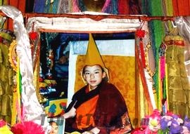 Picture of 11th Panchen Lama, Tibet