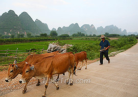 yangshuo